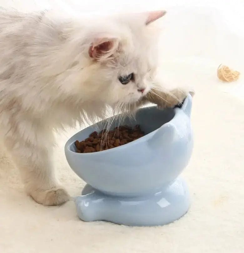 Gamelle en céramique surélevée pour chats | HopMyCat