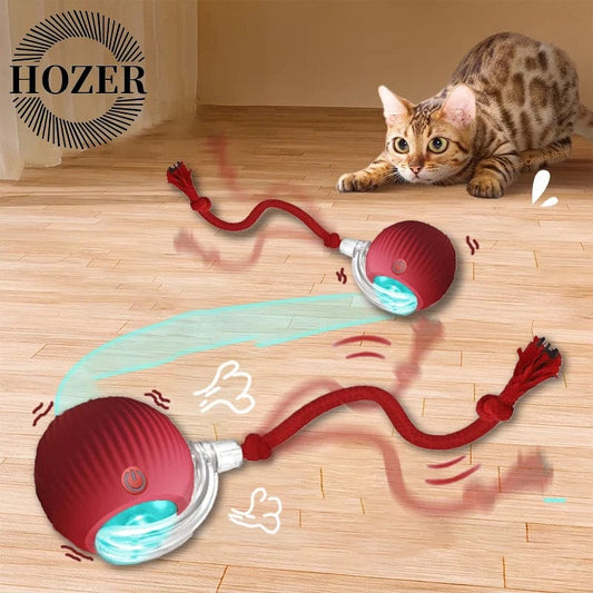 Jouet Pour Chat - Interactive Ball