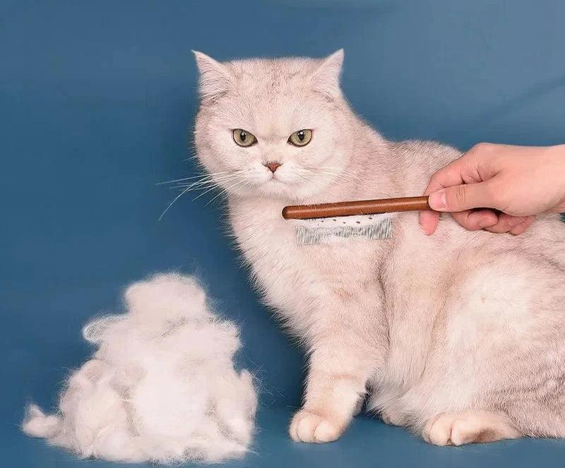 Brosse Chat Poil Court