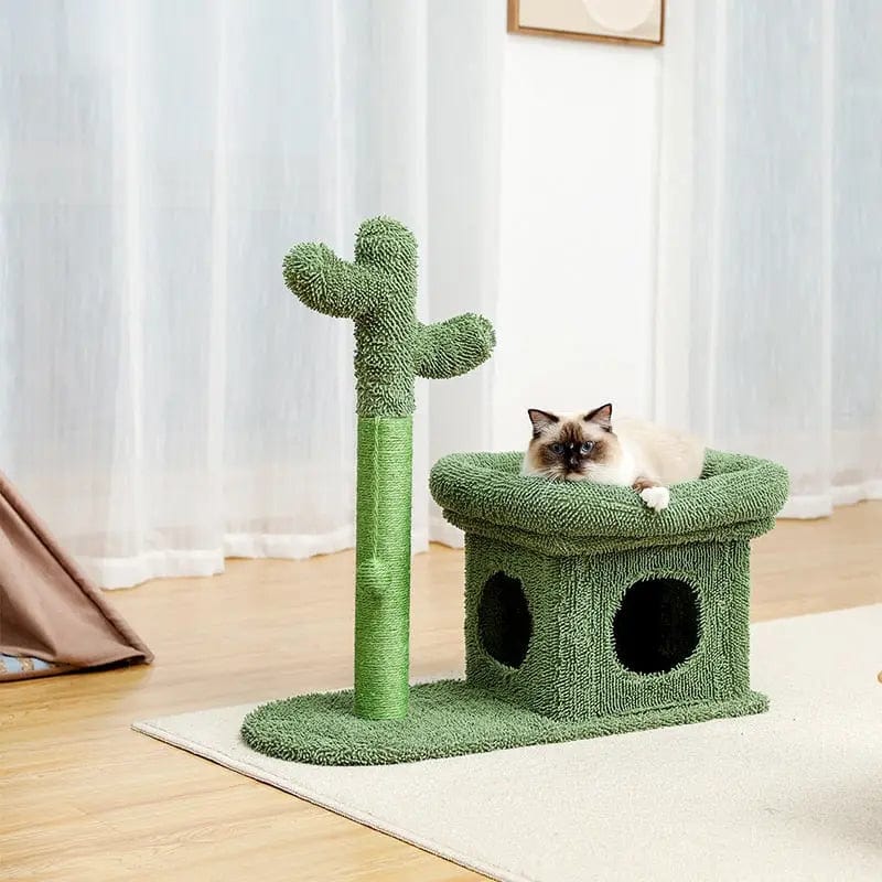 Arbre à chat Cactus avec niche | HopMyCat