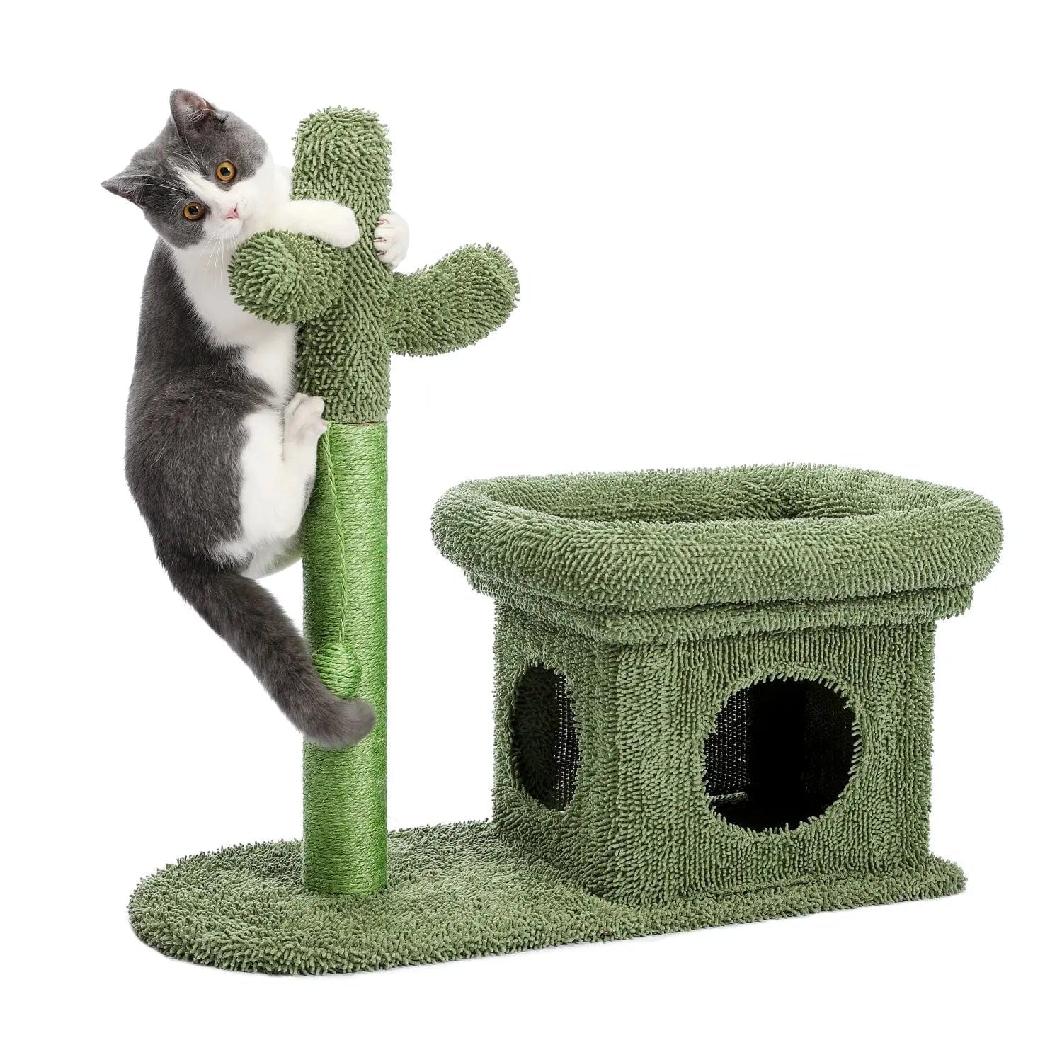 Arbre à chat Cactus avec niche | HopMyCat