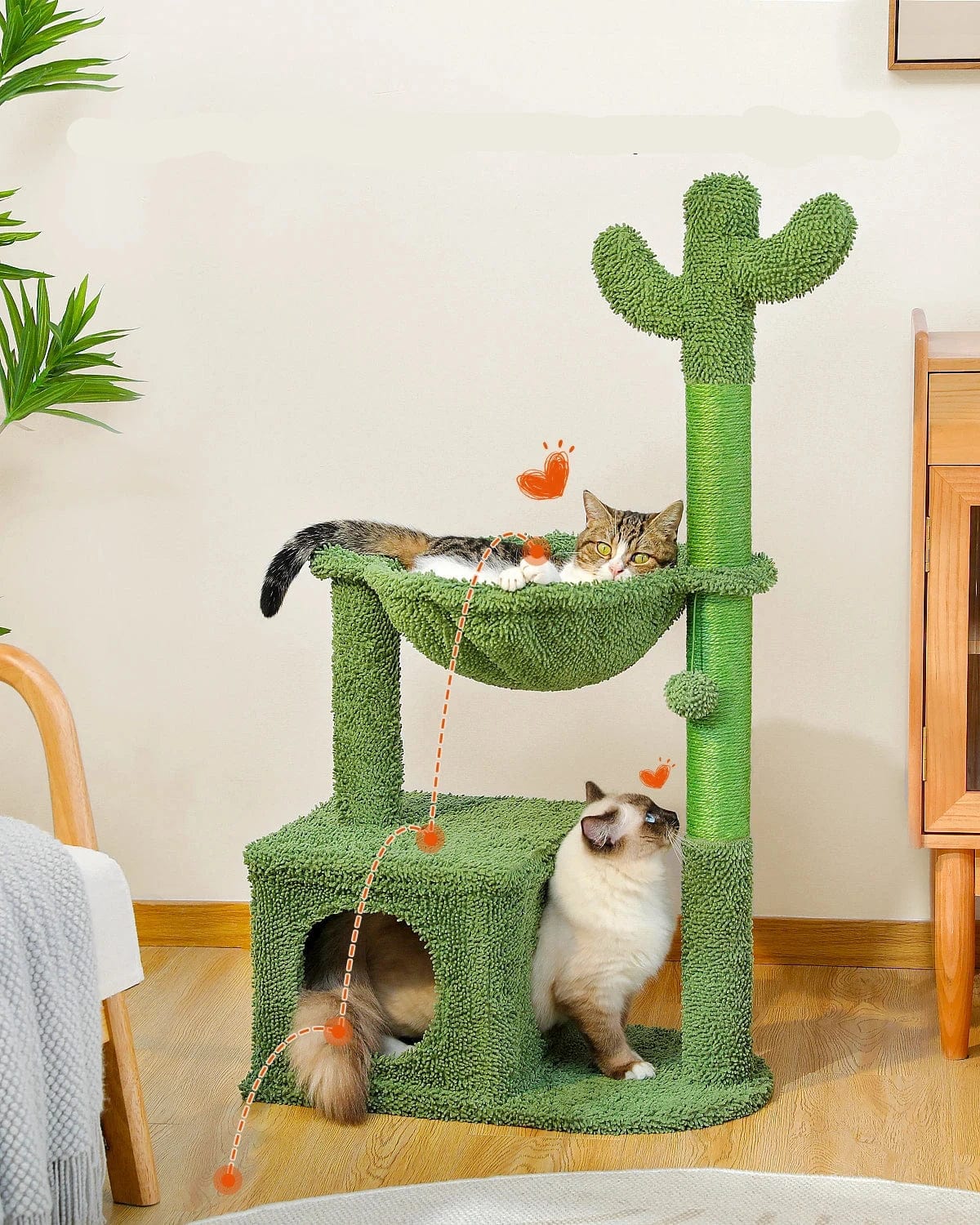 Arbre à Chat Cactus | HopMyCat