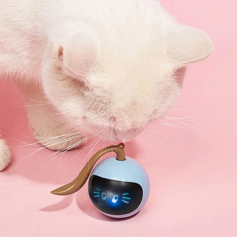 Balle pour chats rotative et interactive à LED | HopMyCat