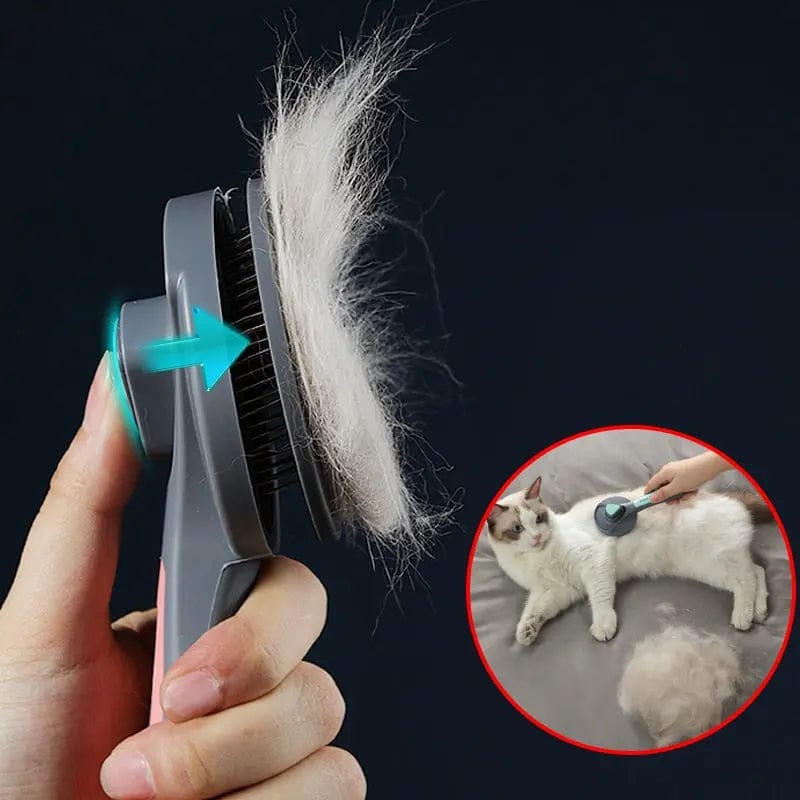 Brosse pour chat avec bouton | HopMyCat