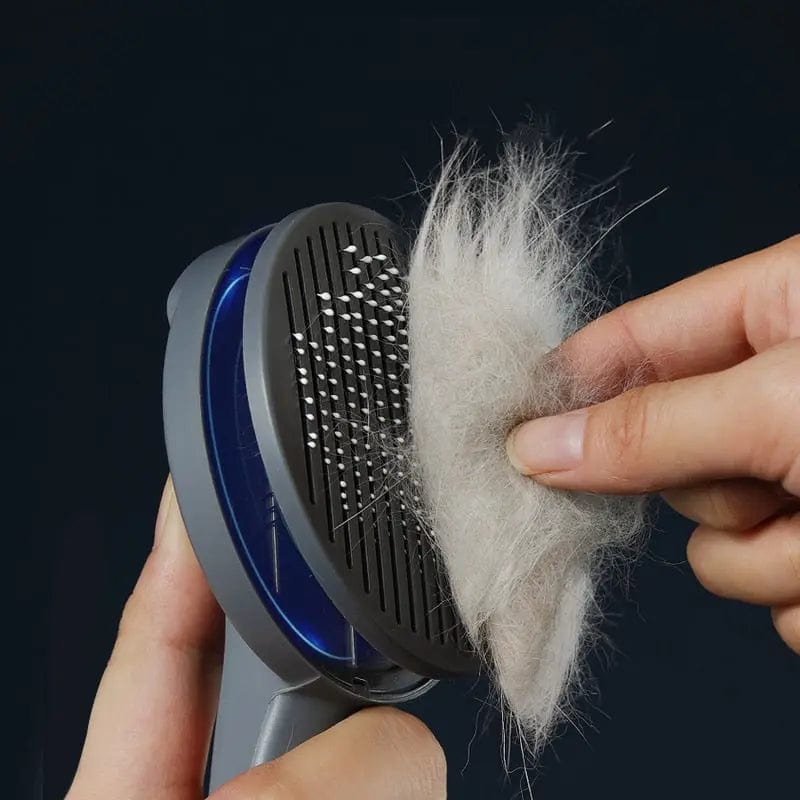 Brosse pour chat avec bouton | HopMyCat