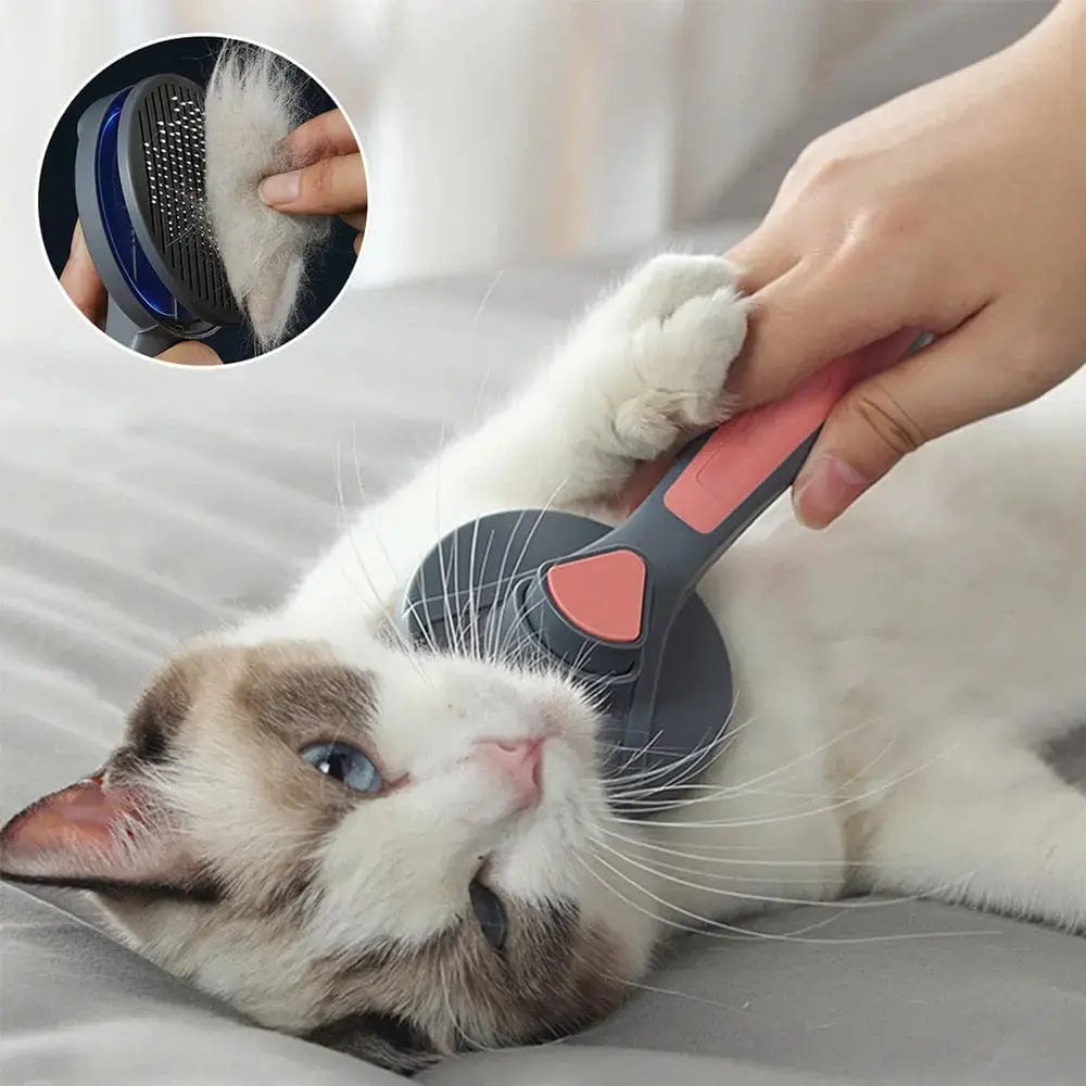 Brosse pour chat avec bouton | HopMyCat