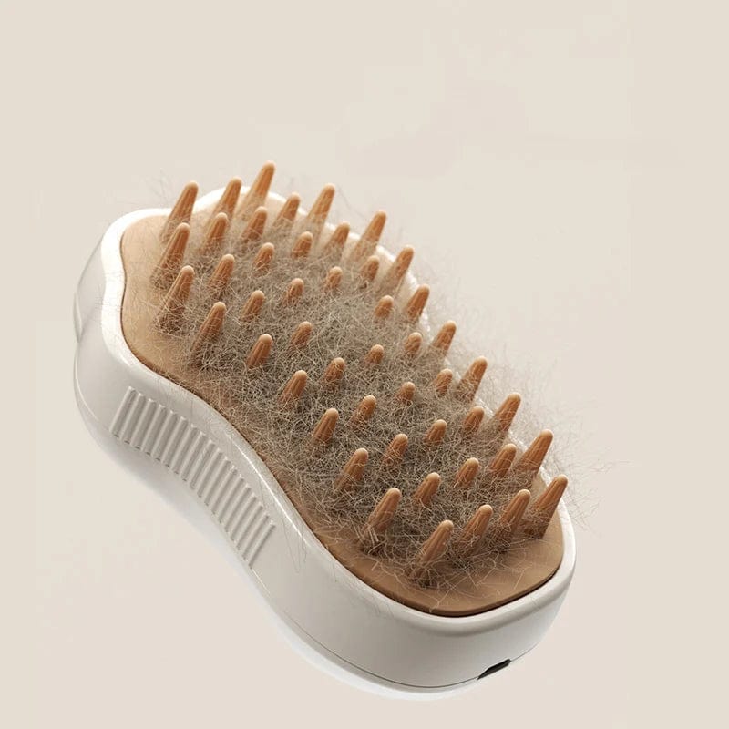 Brosse Vapeur Chat PawBrush | HopMyCat