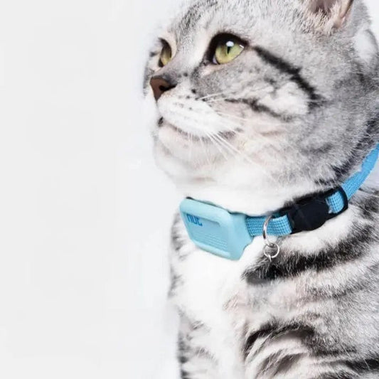 Collier GPS pour Chat en Nylon | HopMyCat