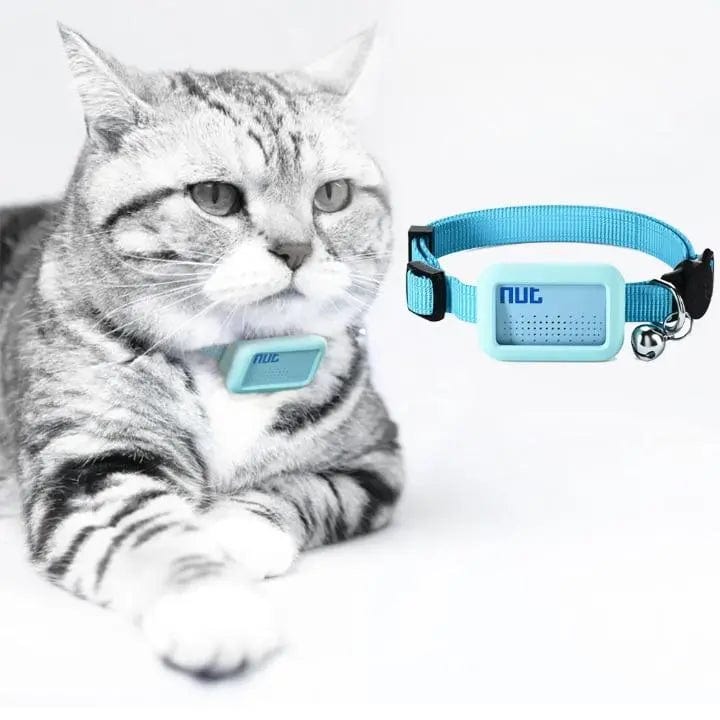 Collier GPS pour Chat en Nylon | HopMyCat