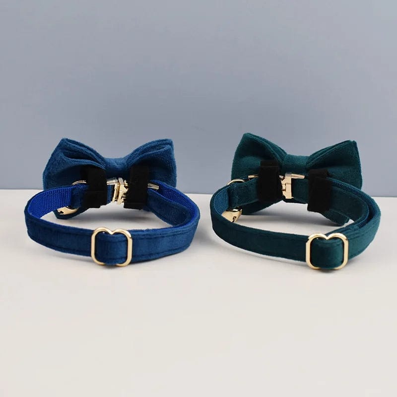 Collier pour Chat - Collection Bleue | HopMyCat