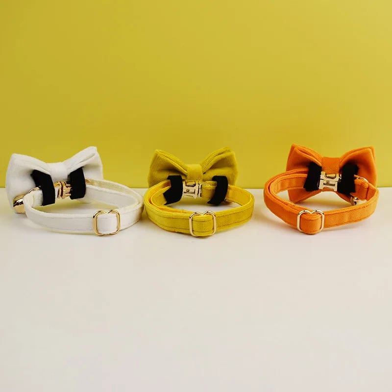 Collier pour Chat - Edition Orange | HopMyCat