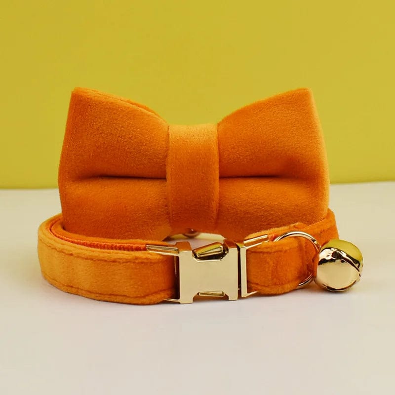 Collier pour Chat - Edition Orange | HopMyCat E / M 20-32cm