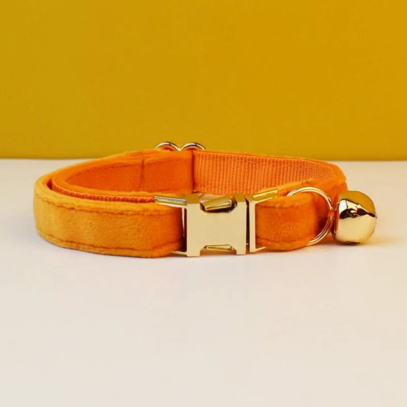 Collier pour Chat - Edition Orange | HopMyCat F / M 20-32cm