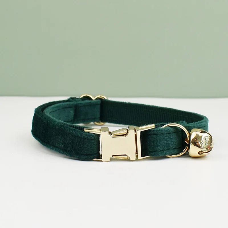 Collier pour Chat - Edition Vert | HopMyCat D / M 20-32cm