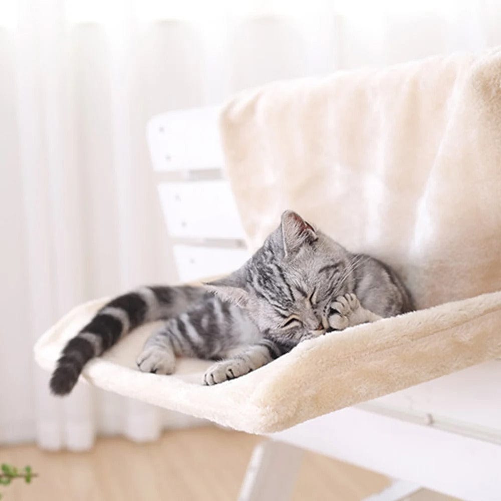 Coussin pour Chat - Fenêtre et Radiateur | HopMyCat