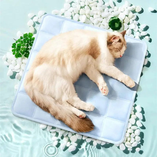 Coussin pour chat rafraîchissant - Edition estivale | HopMyCat