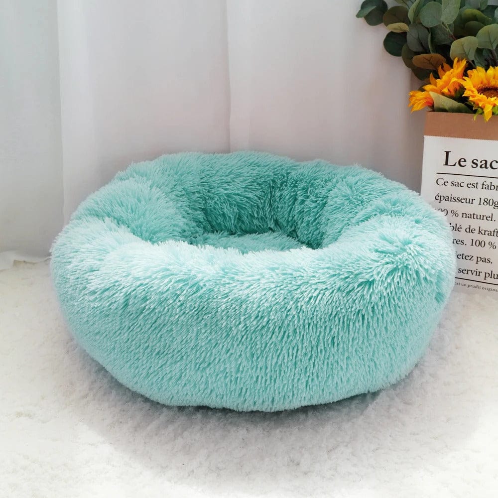 Coussin pour Grands Chats | HopMyCat Bleu