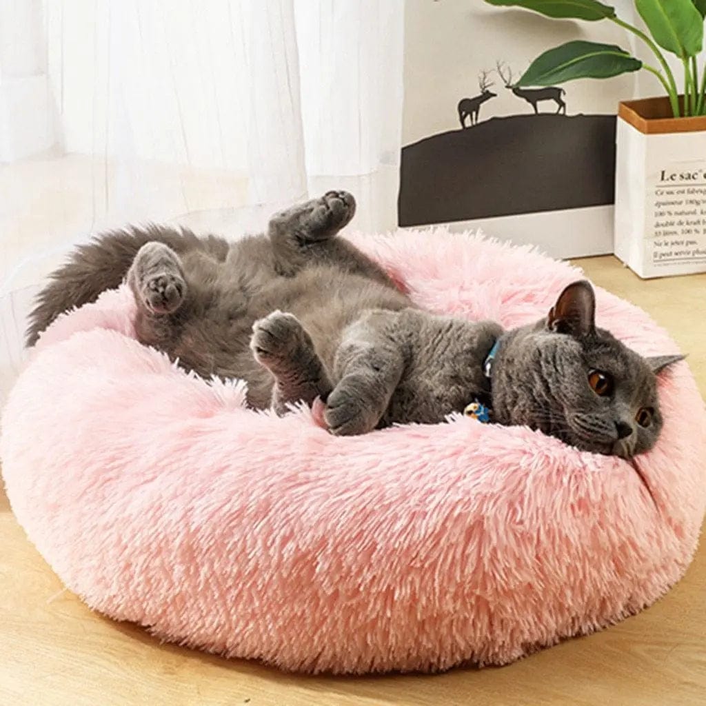 Coussin pour Grands Chats | HopMyCat Rose