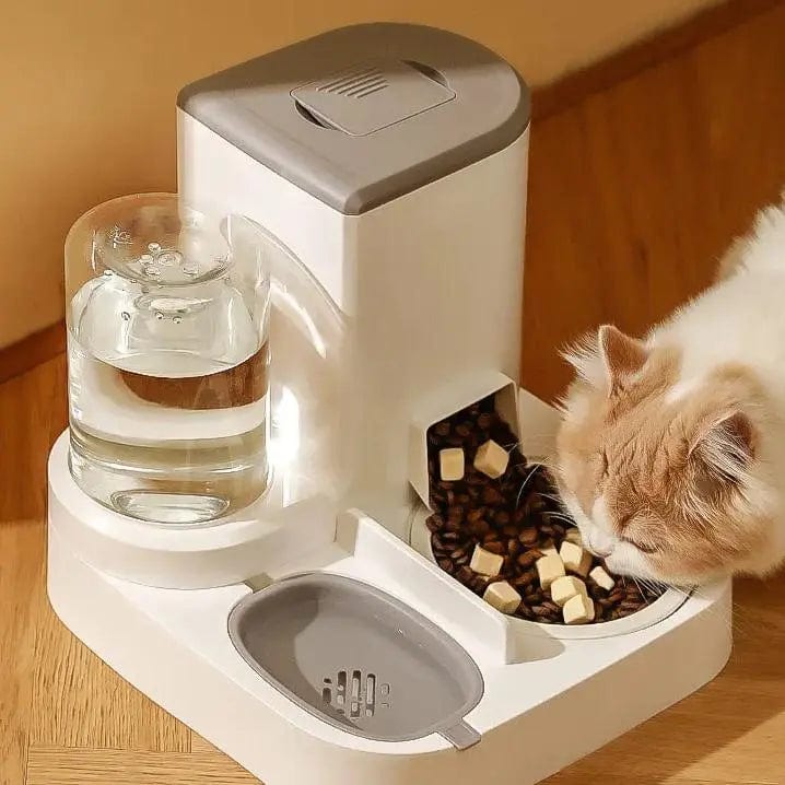 Distributeur de Croquettes et d'Eau pour Chat | HopMyCat