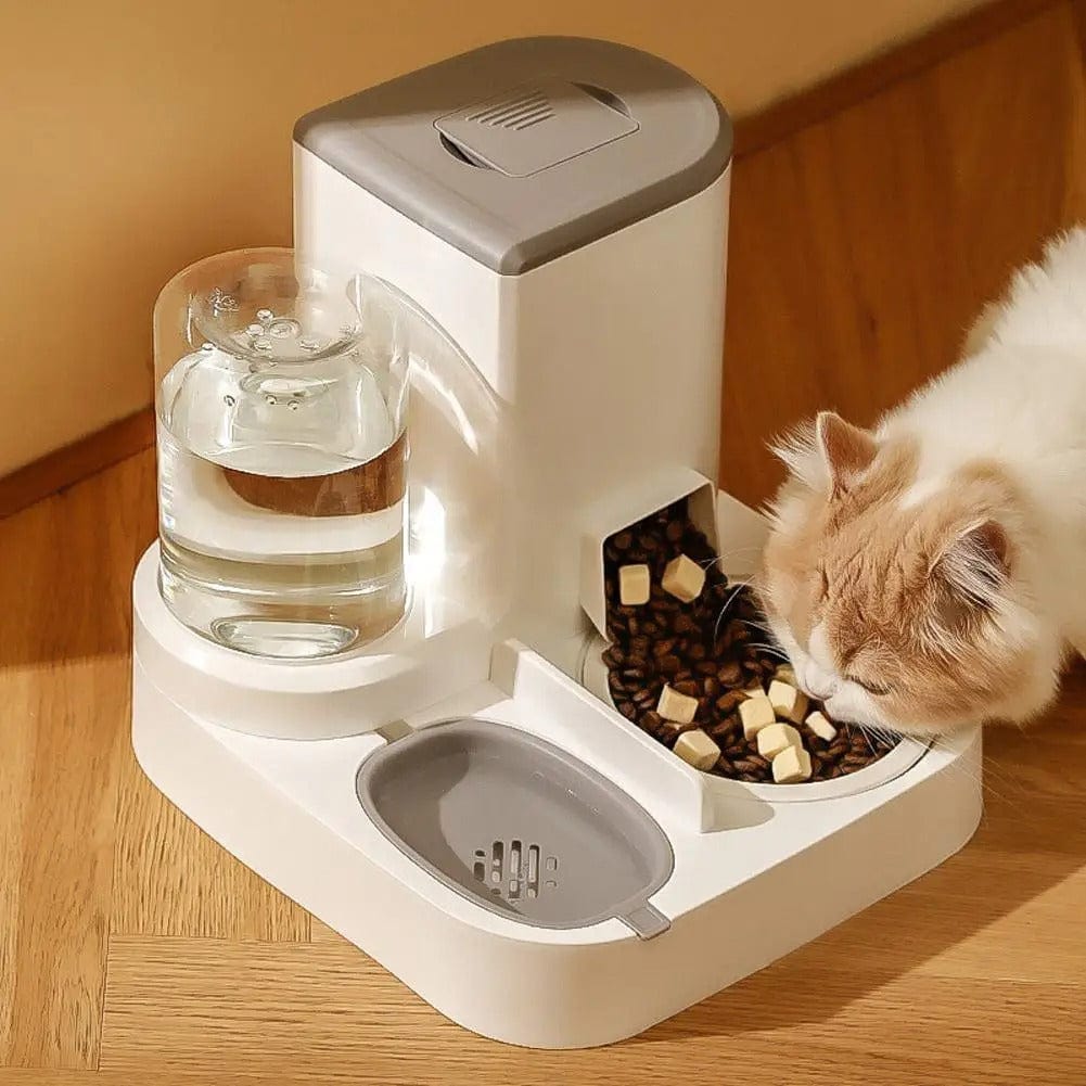 Distributeur de croquettes et d'eau pour Chat | HopMyCat