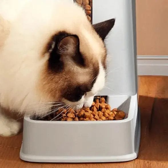 Distributeur de Croquettes pour Chat anti-dérapant | HopMyCat