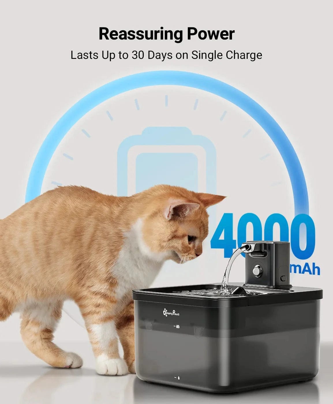 Fontaine à Eau pour Chat Avec Batterie | HopMyCat