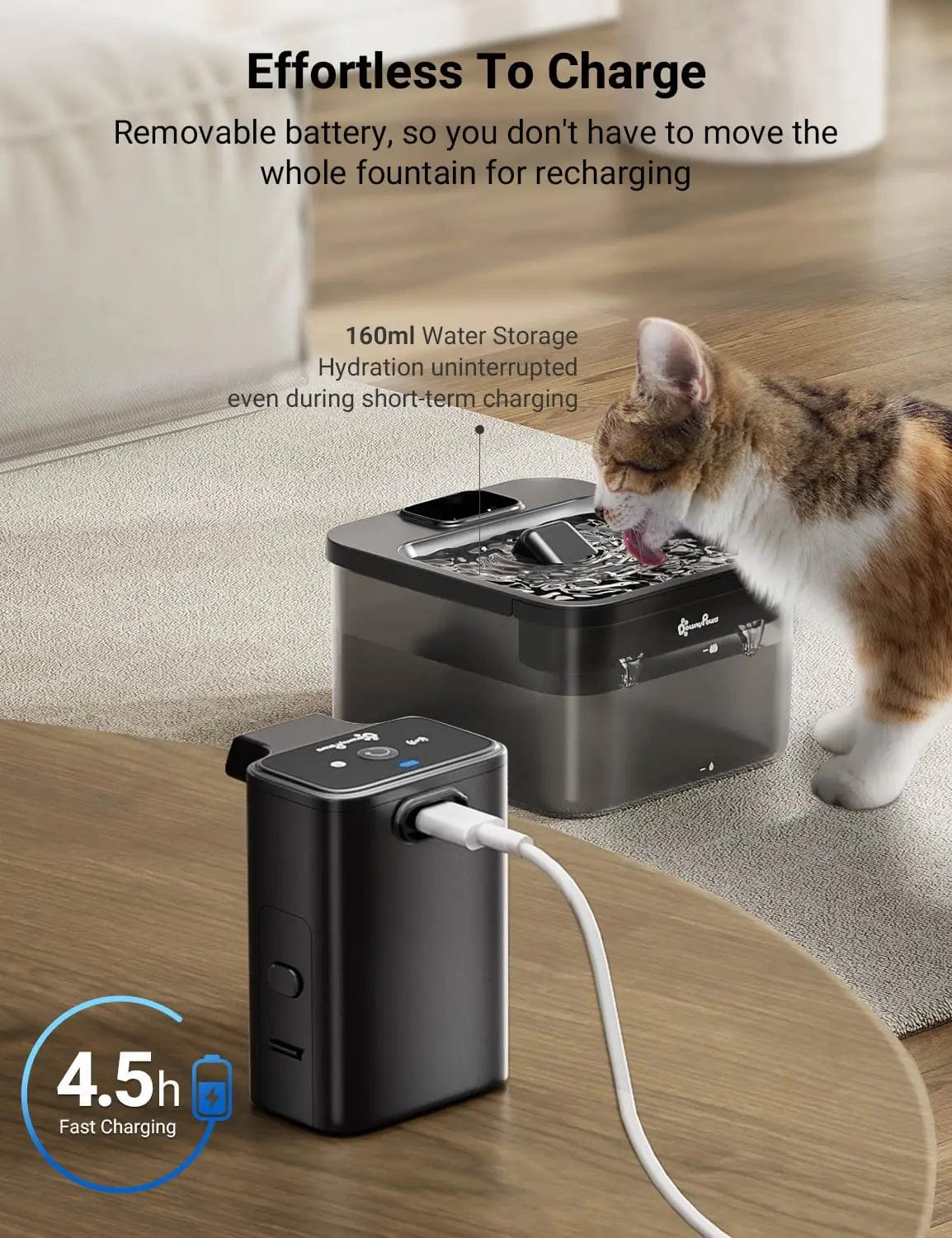 Fontaine à Eau pour Chat Avec Batterie | HopMyCat