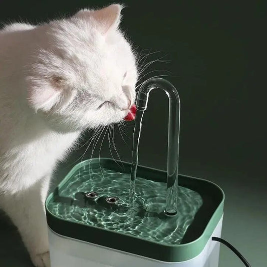 Fontaine à eau pour chat avec système de filtration | HopMyCat