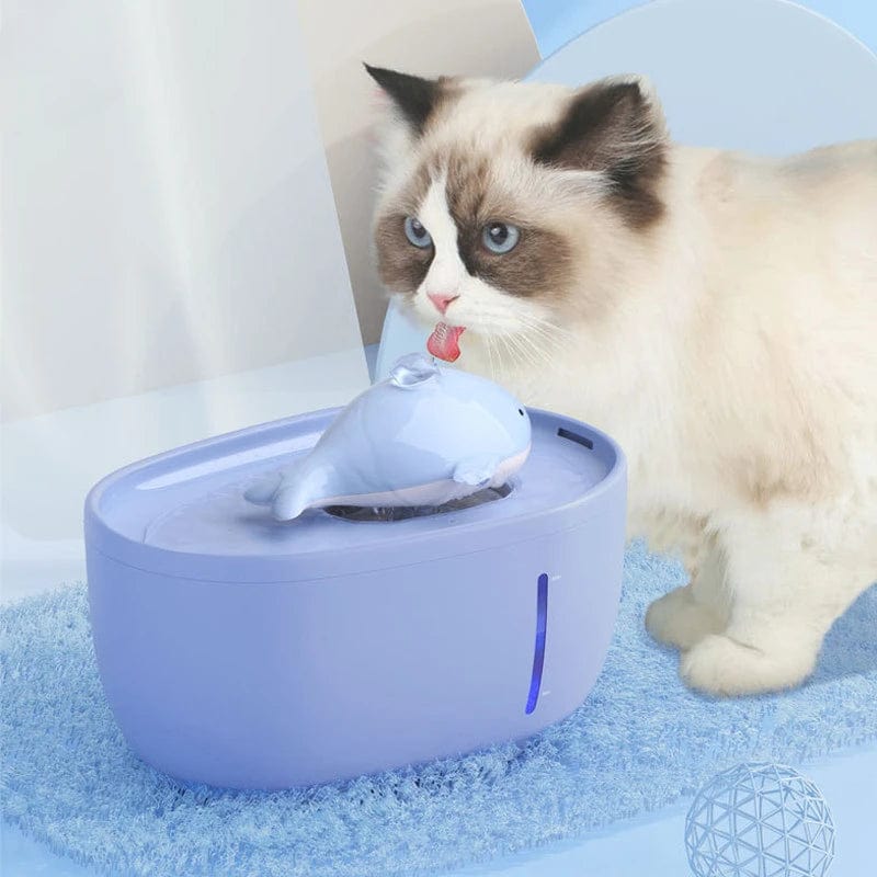 Fontaine à Eau pour Chat - Cute Edition | HopMyCat