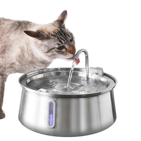 Fontaine à Eau pour Chat en Acier Inoxydable | HopMyCat