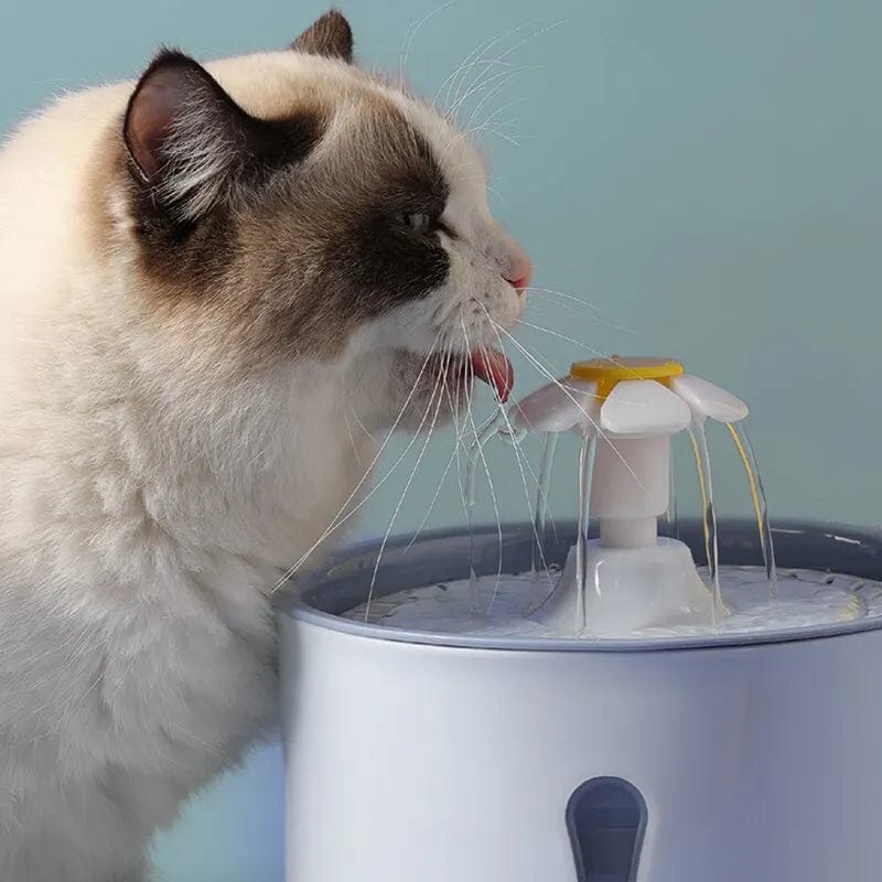 Fontaine à Eau pour Chat Fleur | HopMyCat