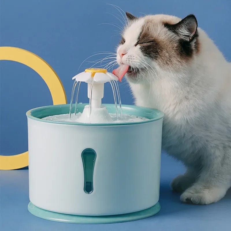 Fontaine à Eau pour Chat Fleur | HopMyCat