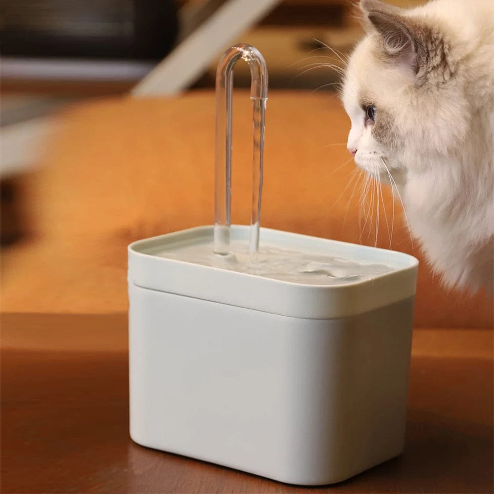 Fontaine à Eau pour Chat - Nouvelle Edition | HopMyCat