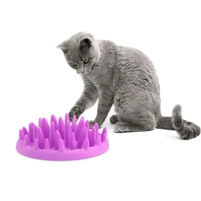 Gamelle Anti-Glouton pour Chat avec picots | HopMyCat