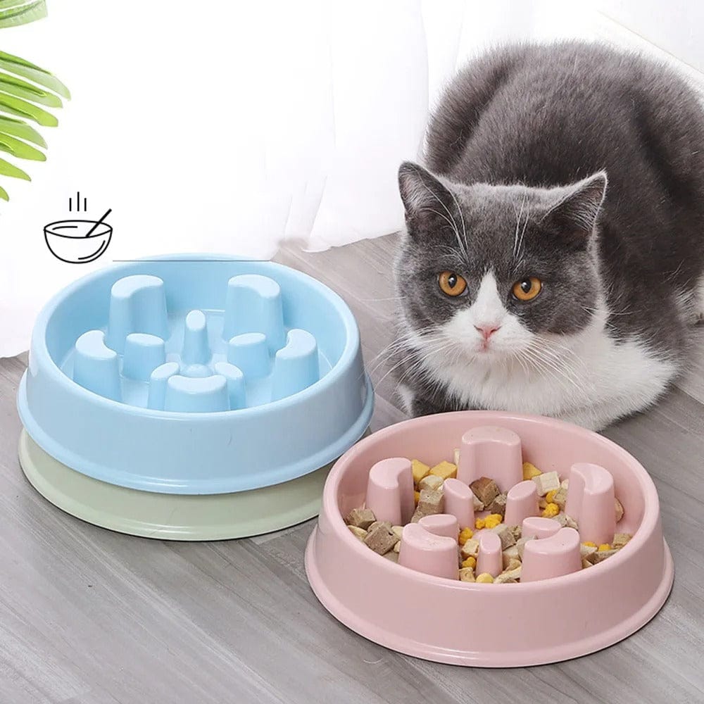 Gamelle Anti-Glouton pour Chat | HopMyCat