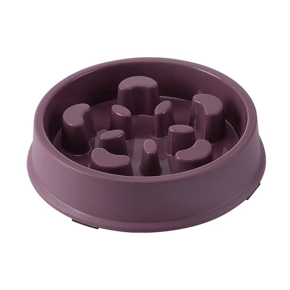 Gamelle Anti-Glouton pour Chat | HopMyCat Violet