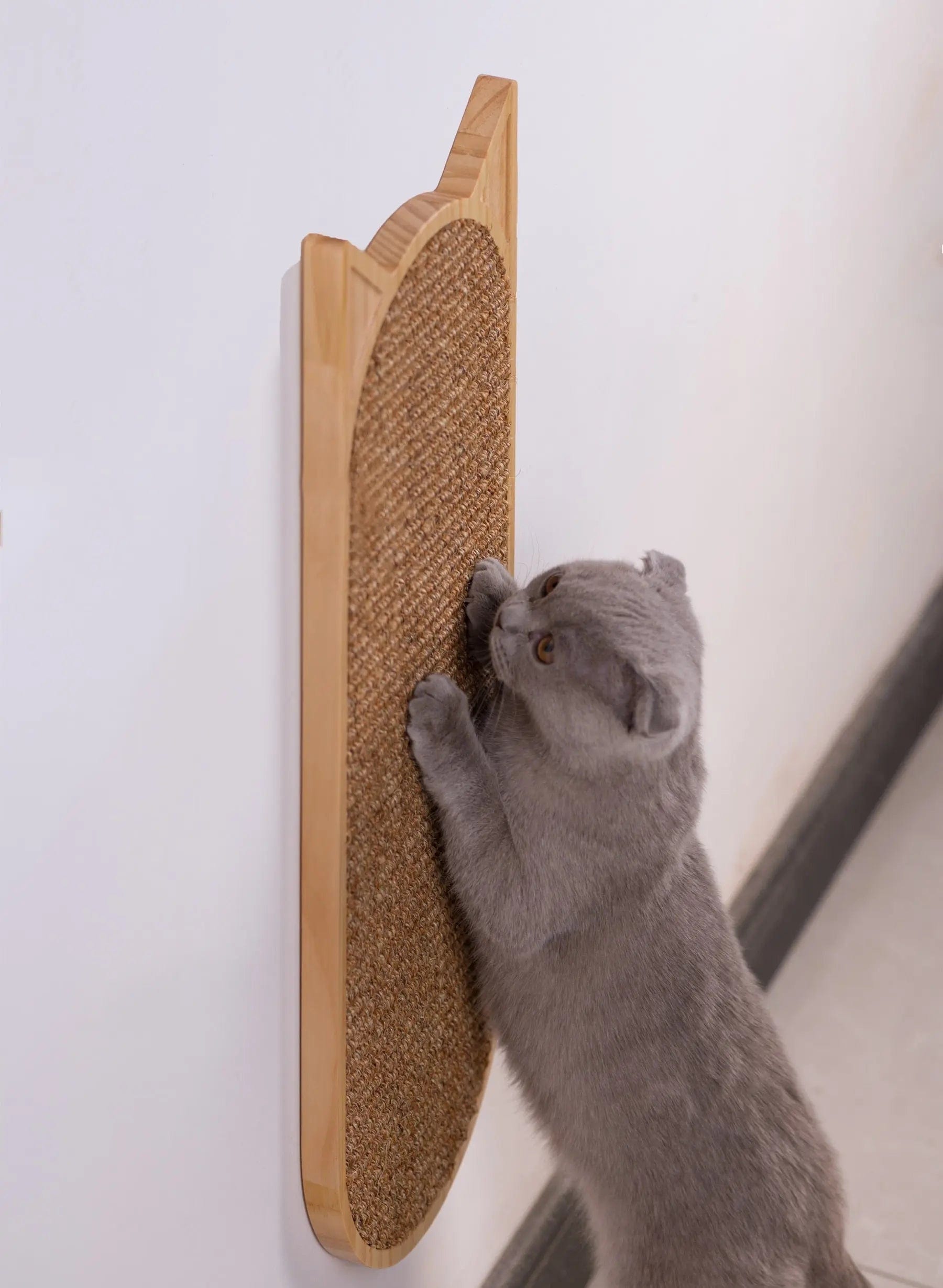 Griffoir pour Chat en Sisal | HopMyCat