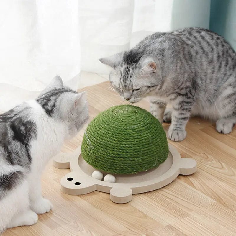 Griffoir pour Chat "Turtle" en sisal | HopMyCat Vert