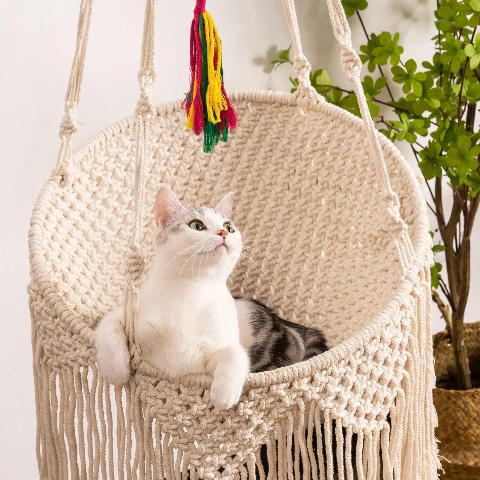 Hamac pour Chat Rond avec Franges | HopMyCat