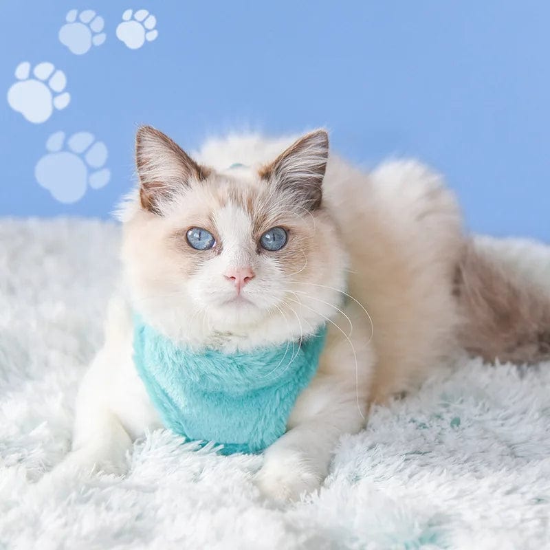 Harnais pour Chat - Edition Hiver | HopMyCat