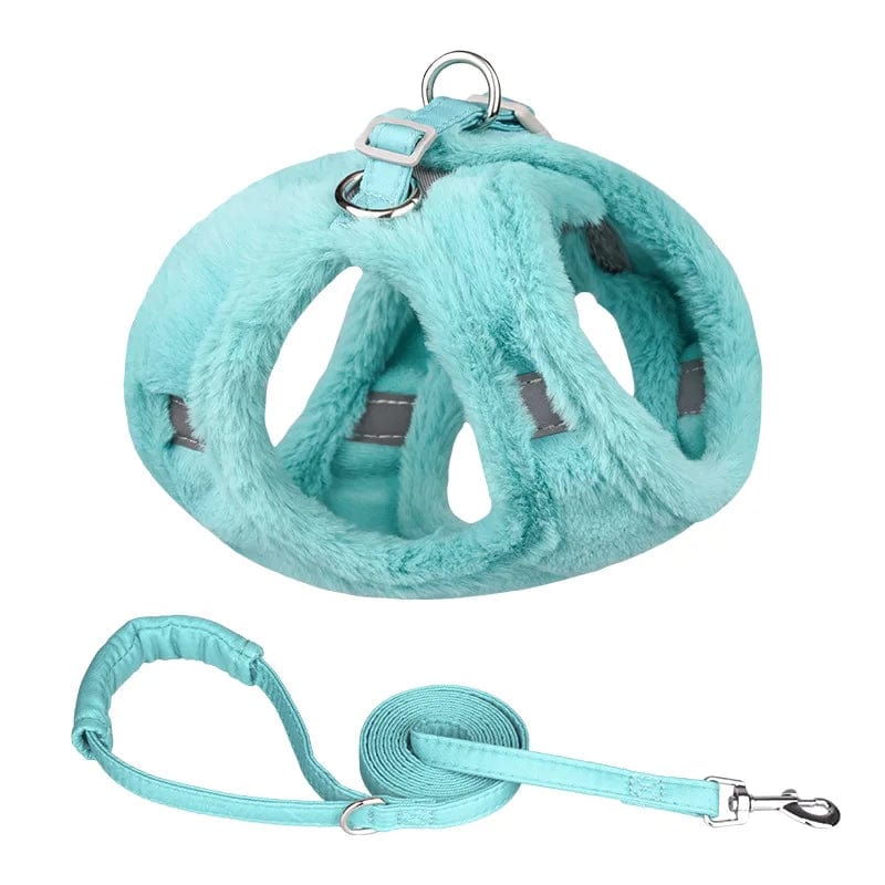 Harnais pour Chat - Edition Hiver | HopMyCat Turquoise / S - 2.5-4.5kg