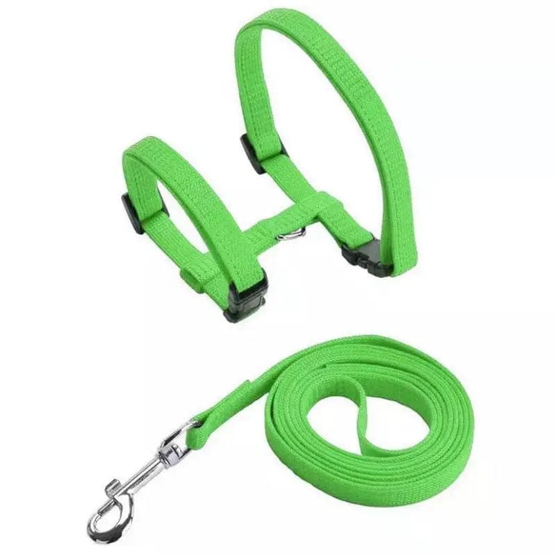 Harnais pour chat en nylon ajustable | HopMyCat Vert