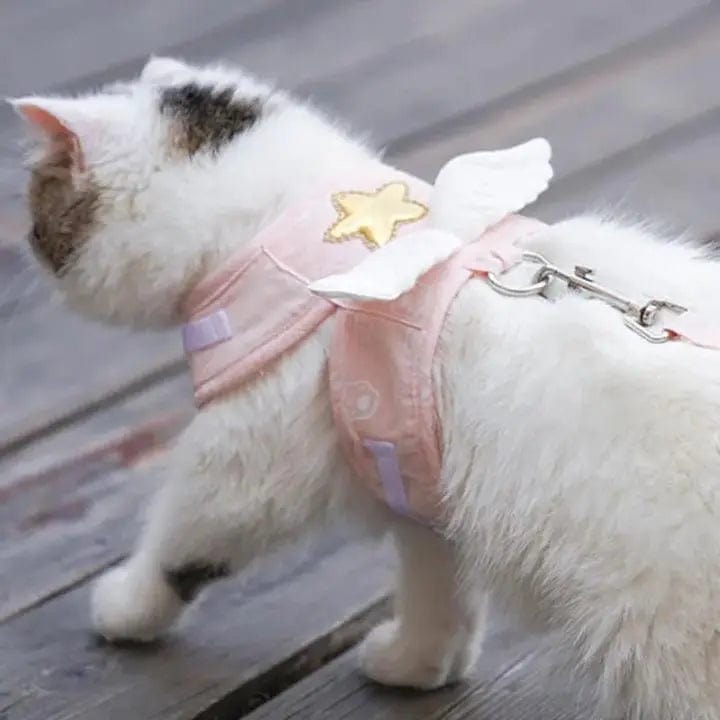 Harnais pour Chaton Étoilé aux Ailes Blanches | HopMyCat