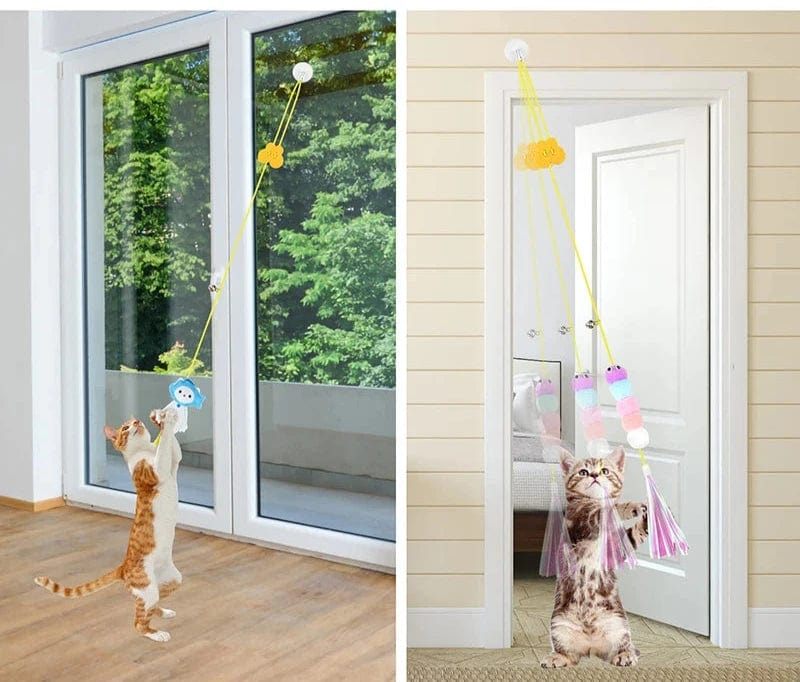 Jouet pour Chat  "Swing Elastic" | HopMyCat