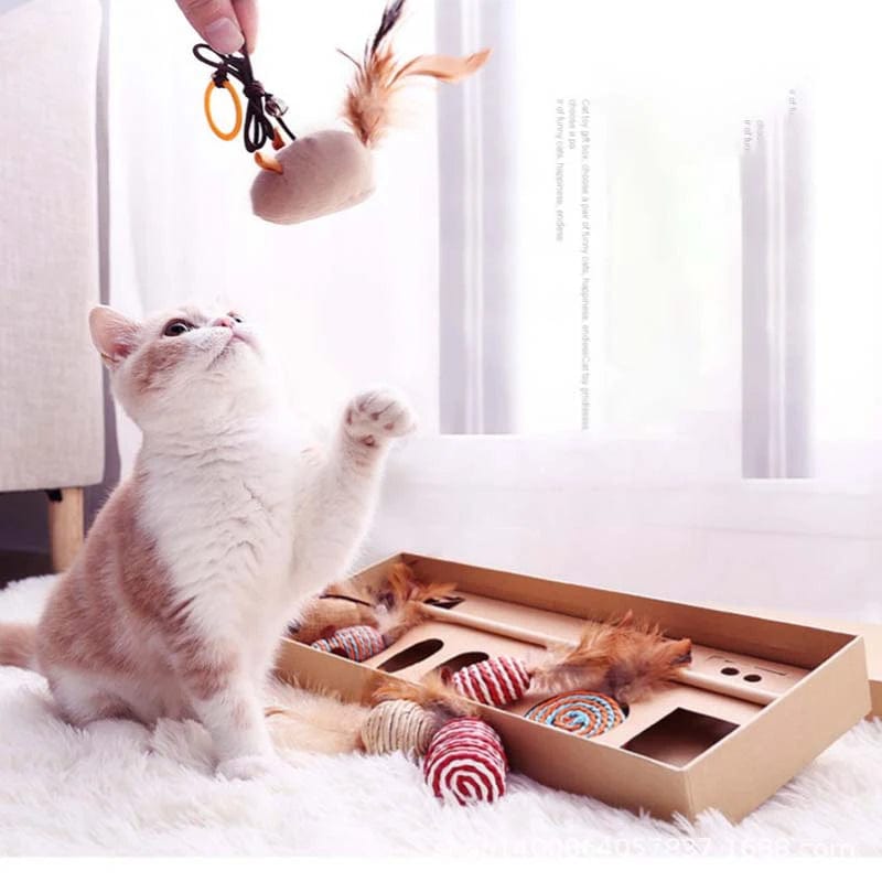 Jouets pour Chat en Coffret | HopMyCat