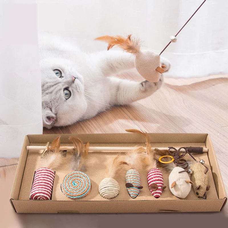 Jouets pour Chat en Coffret | HopMyCat