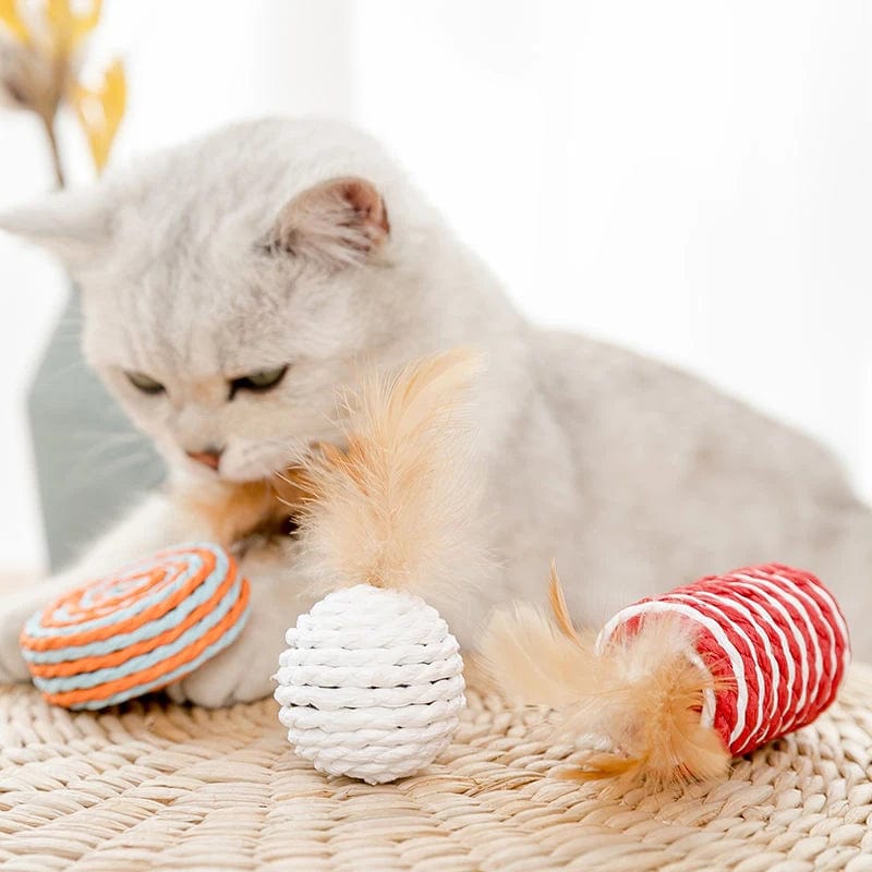 Jouets pour Chat en Coffret | HopMyCat