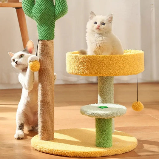 Petit Arbre à Chat Cactus | HopMyCat