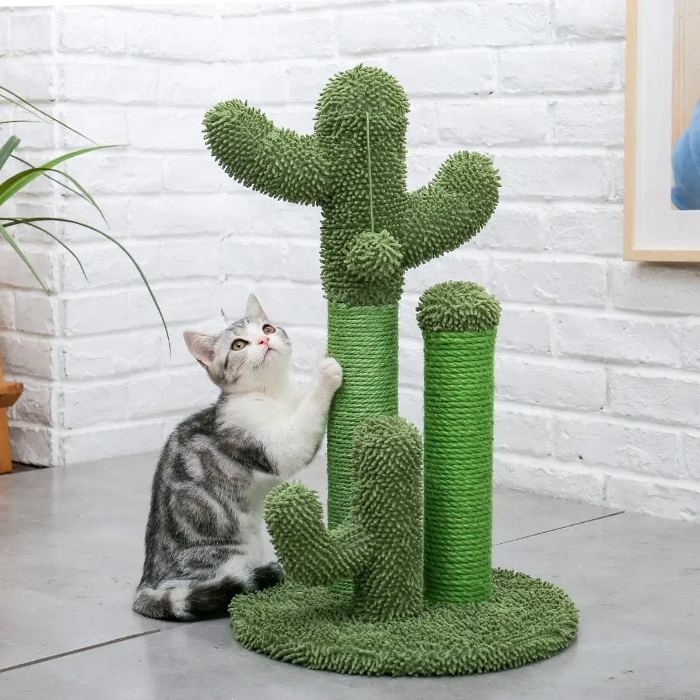 Petit Arbre à Chat Griffoir Cactus | HopMyCat