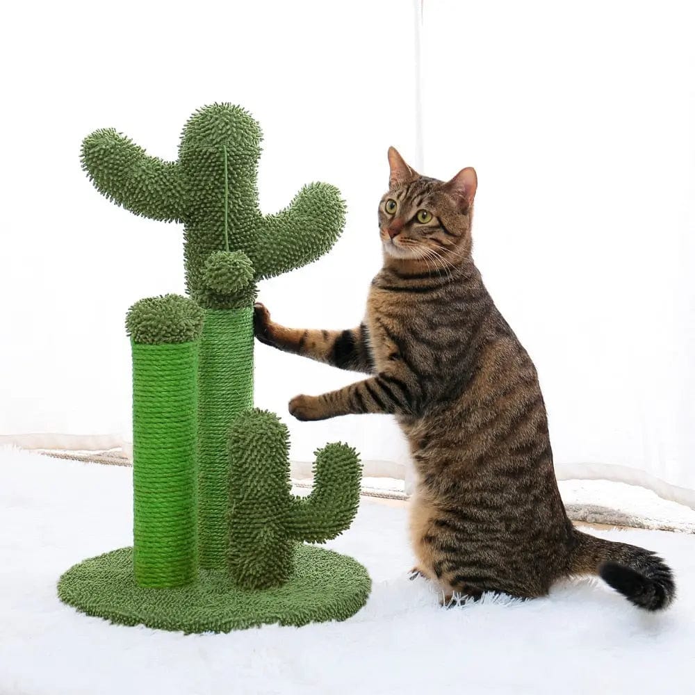 Petit Arbre à Chat Griffoir Cactus | HopMyCat